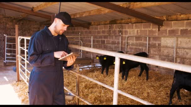 Agricultor de gado usando tablet digital — Vídeo de Stock