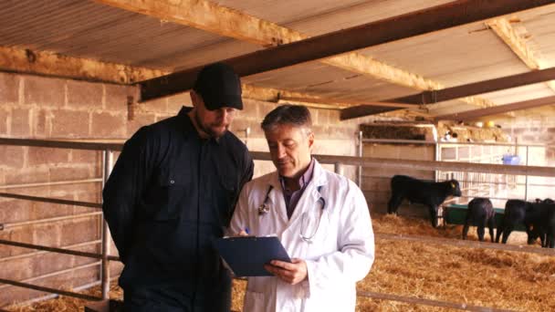 Cattle farmer and veterinary physician interacting — Stock Video