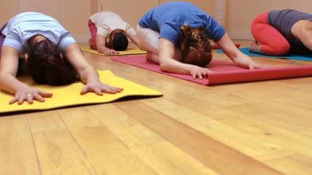 Gruppe von Menschen, die Yoga durchführen — Stockvideo