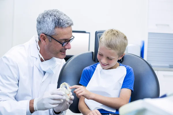 Zahnarzt zeigt Patientin Musterzähne — Stockfoto