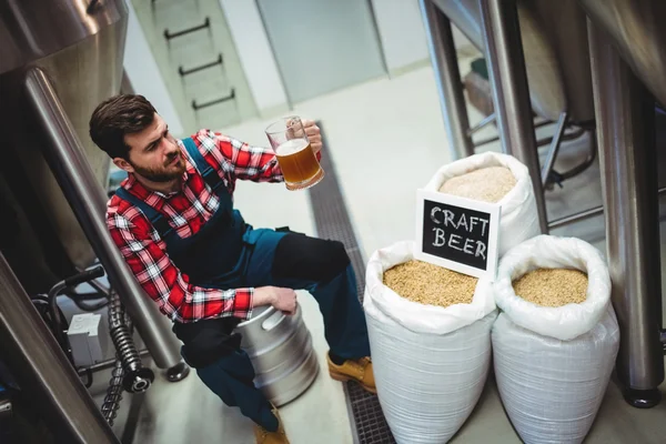 Виробник вивчає пиво на пивоварному заводі — стокове фото