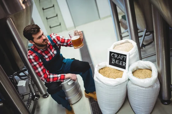 Fabricante examinando cerveja na cervejaria — Fotografia de Stock