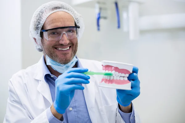 Dentista segurando um modelo de boca e escova de dentes — Fotografia de Stock