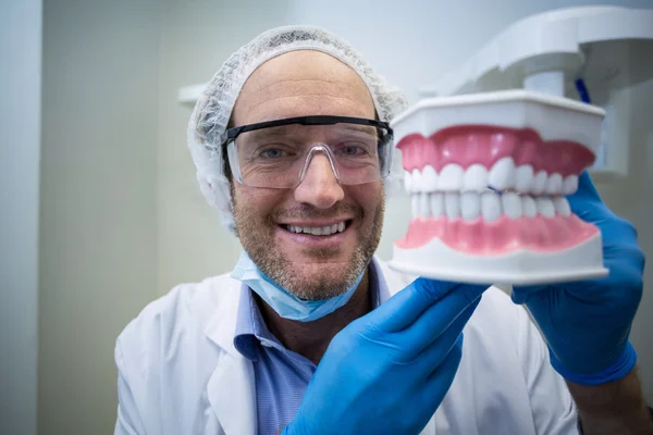 Dentista segurando um modelo de boca — Fotografia de Stock