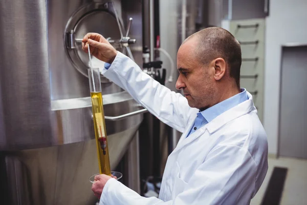 Fabricante examinando cerveza en cervecería —  Fotos de Stock