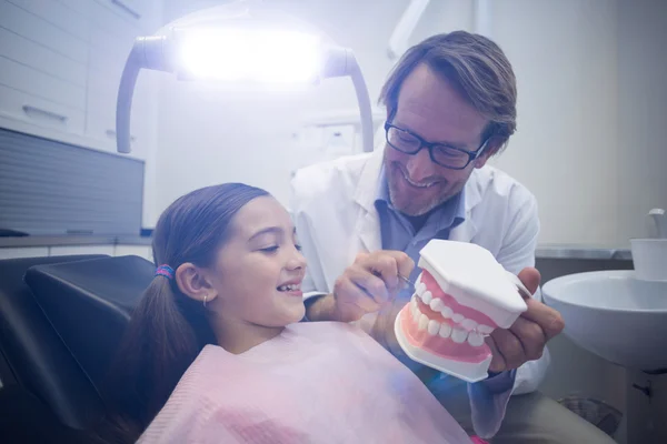 Dentista che mostra i denti modello al paziente — Foto Stock