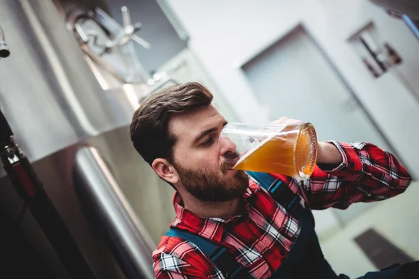 Fabricante beber cerveja na cervejaria — Fotografia de Stock