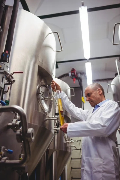 Mannelijke fabrikant onderzoeken biertje in brouwerij — Stockfoto