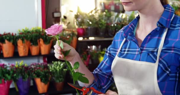 Женщина-флористка, нюхающая розовую розу — стоковое видео