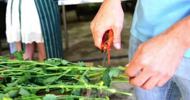 Florist cutting stems — Stock Video