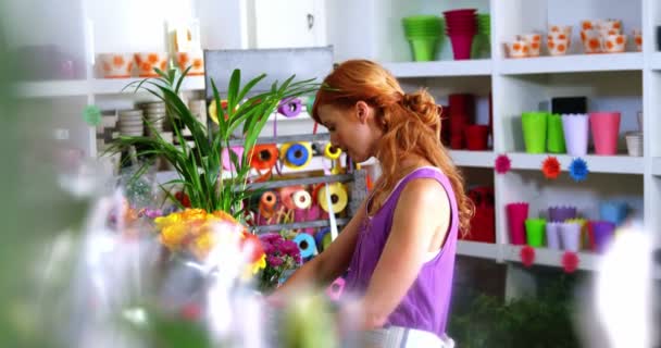 Çiçekçide çalışan kadın çiçekçi — Stok video