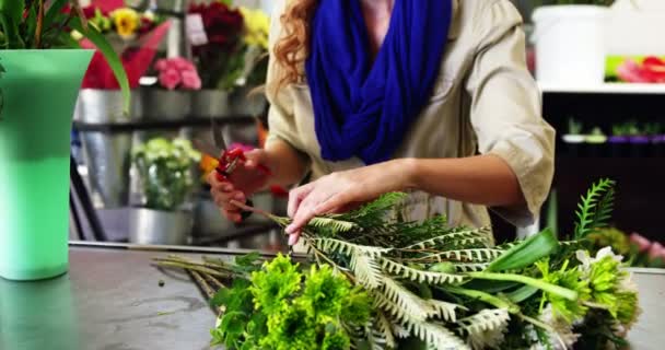 Floristería femenina planta de recorte — Vídeo de stock