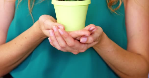 Floristería femenina sosteniendo planta en maceta — Vídeos de Stock