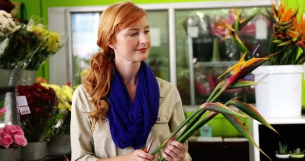 Vrouwelijke bloemist bedrijf bloemen — Stockvideo