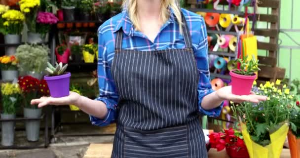 Floristería sosteniendo maceta en tienda — Vídeo de stock