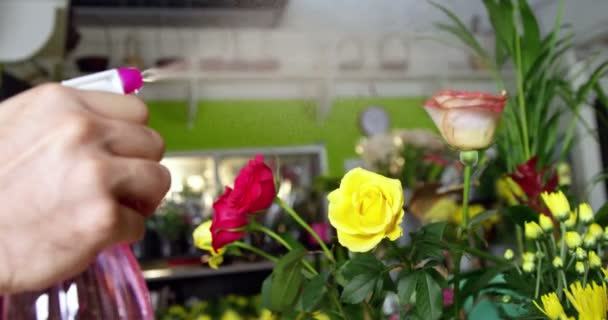 Флорист распыляет воду на цветы в магазине — стоковое видео
