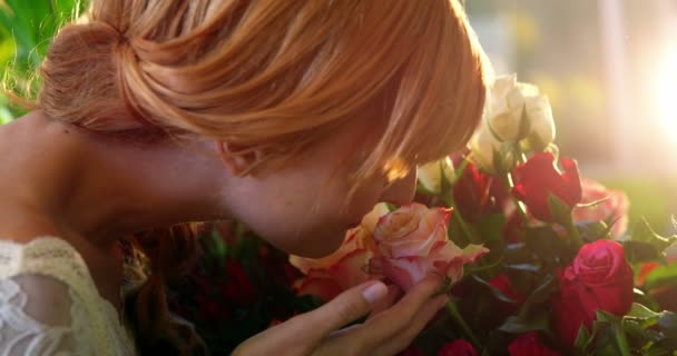 Kwiaciarnia kobieta pachnąca różowych róż — Wideo stockowe