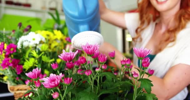 Vrouwelijke bloemist drenken bloemen — Stockvideo