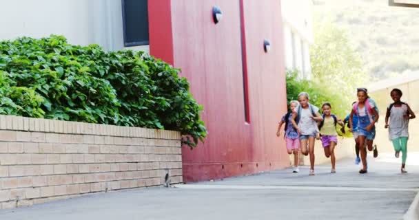 Klasskamrater på skolans campus — Stockvideo