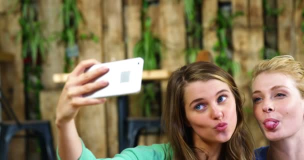 Amigas tomando selfie — Vídeos de Stock