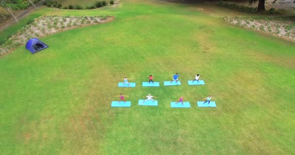 Çocuklar parkta Yoga gerçekleştirme — Stok video