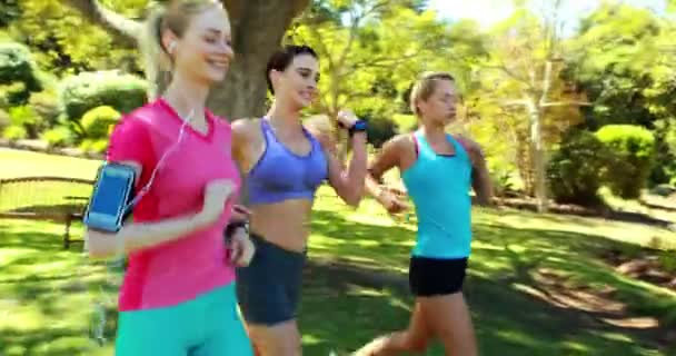 Vrouwen joggen in het park — Stockvideo