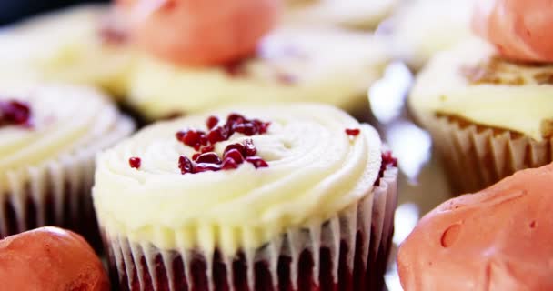 Savoureux cupcakes à la cafétéria — Video