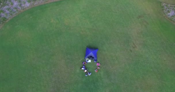 Niños divirtiéndose en parque — Vídeos de Stock