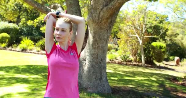 Krásné mladé ženy cvičení — Stock video