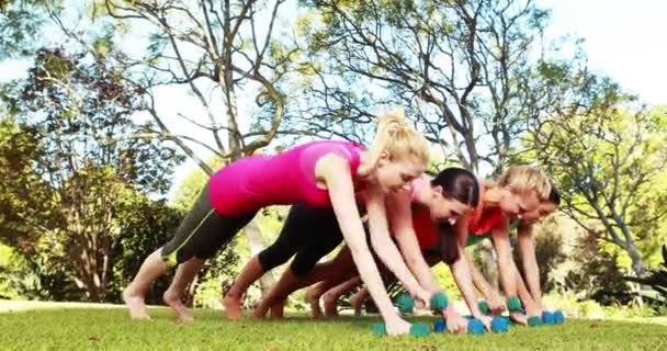 Mulheres se exercitando com halteres — Vídeo de Stock