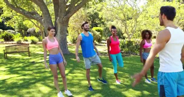 Grupo de amigos haciendo ejercicio en el parque — Vídeo de stock