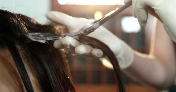 Fodrász neki ügyfél haj festése — Stock videók