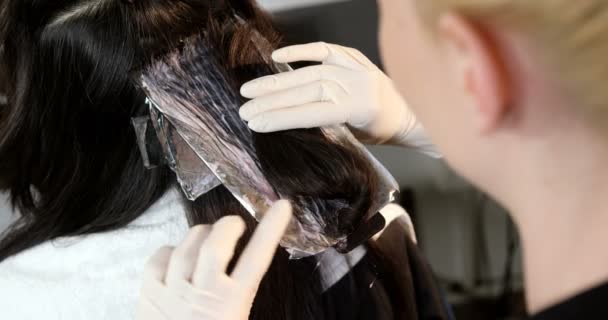 Coiffeur teignant les cheveux de sa cliente — Video