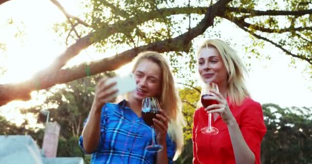 Amigos clicando em uma selfie — Vídeo de Stock