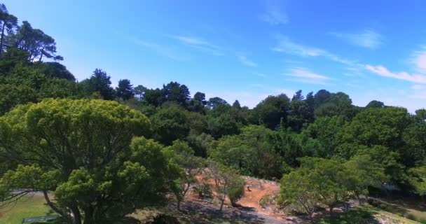 Прекрасный парк в солнечный день — стоковое видео