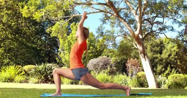 Mujer realizando yoga en parque — Vídeo de stock