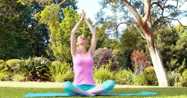 Mujer realizando yoga en parque — Vídeos de Stock