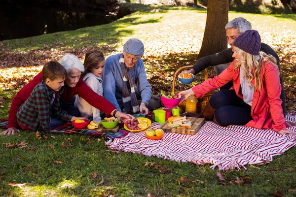 Rodinný piknik v parku — Stock fotografie