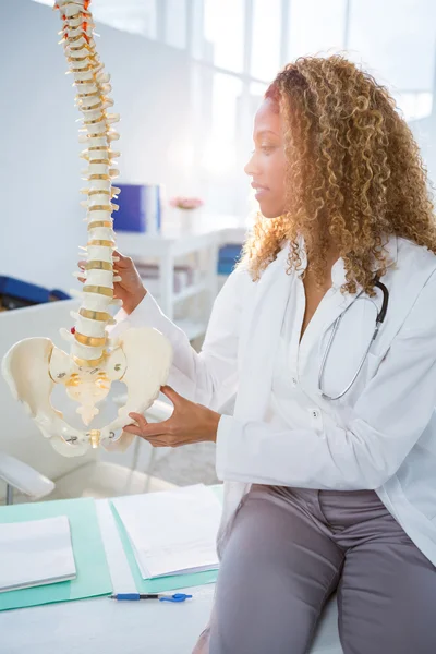 Fisioterapeuta sonriente sosteniendo un modelo de columna vertebral — Foto de Stock