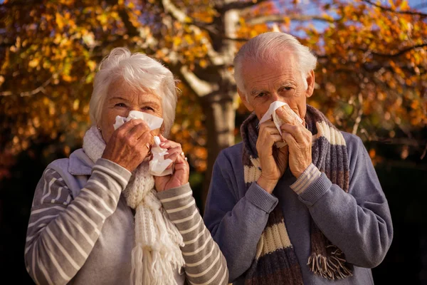 Äldre par med hjälp av vävnader — Stockfoto