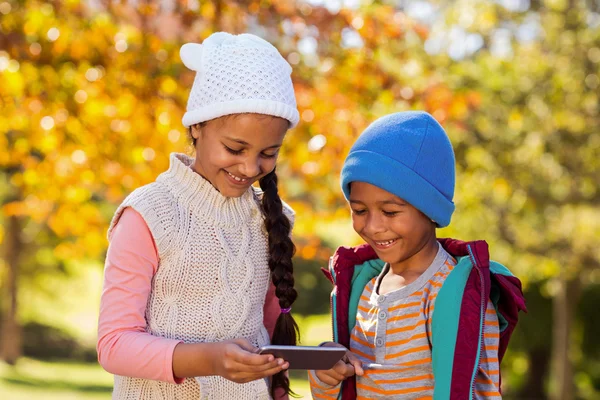 Hermanos usando el teléfono móvil en el parque — Foto de Stock