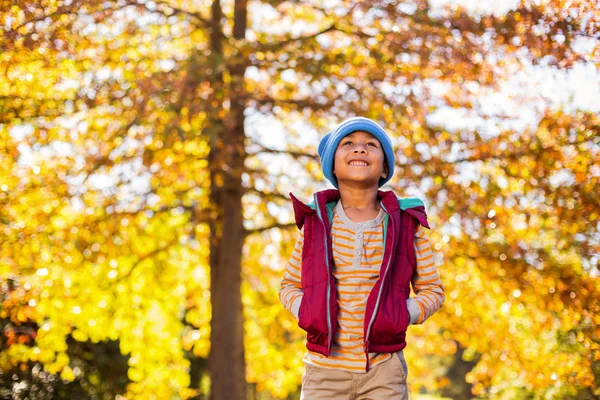 Sonbahar ağaçlar karşı duran çocuk — Stok fotoğraf