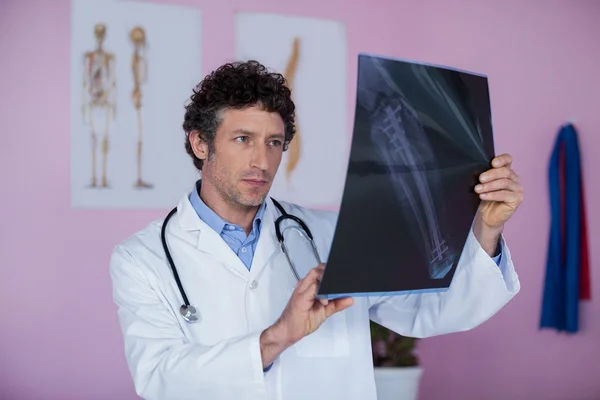 Physiotherapeut untersucht Röntgenbild des Patienten — Stockfoto