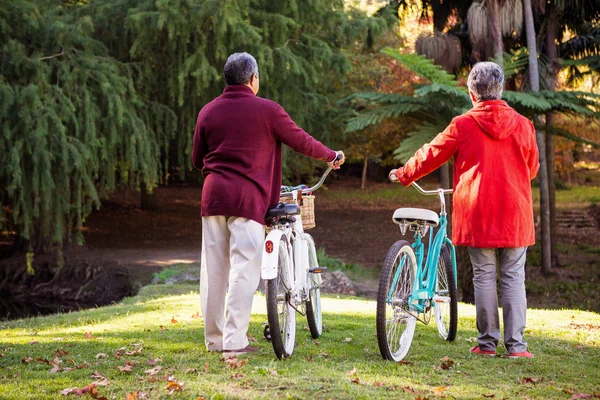 Pareja con bicicleta en el parque —  Fotos de Stock