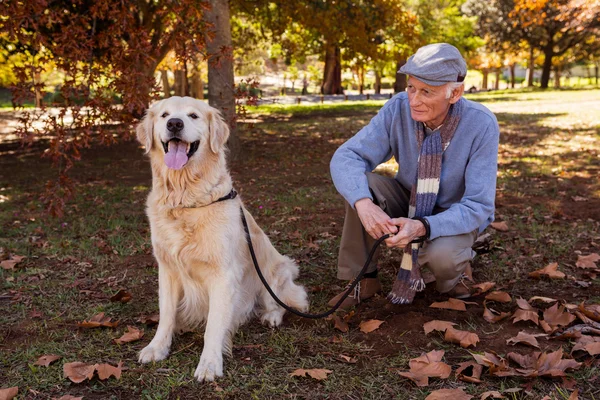 Starszy mężczyzna poszukuje swojego psa — Zdjęcie stockowe