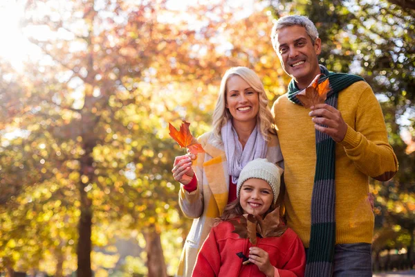 Familie hält Blätter gegen Bäume — Stockfoto