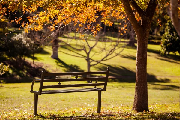 Panchina vuota del parco durante l'autunno — Foto Stock