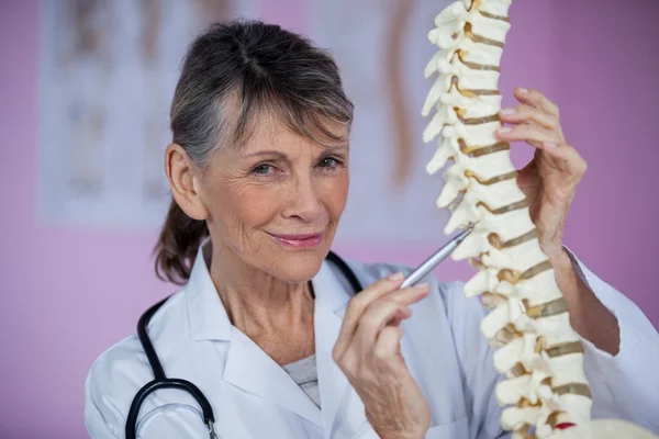 Fisioterapeuta examinando um modelo de coluna — Fotografia de Stock