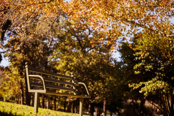 Panchina vuota del parco durante l'autunno — Foto Stock
