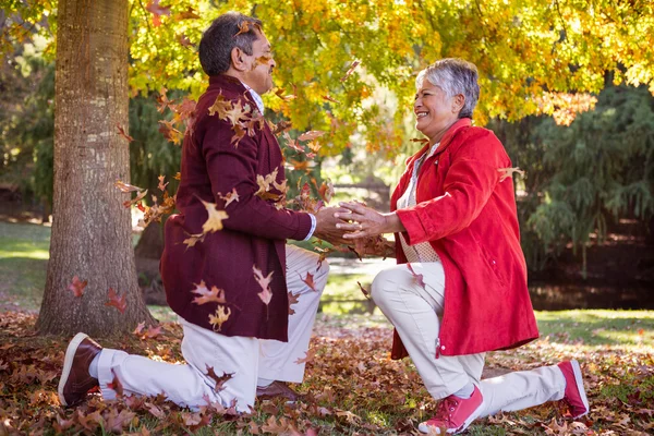 Pareja madura arrodillada sobre hojas de otoño — Foto de Stock